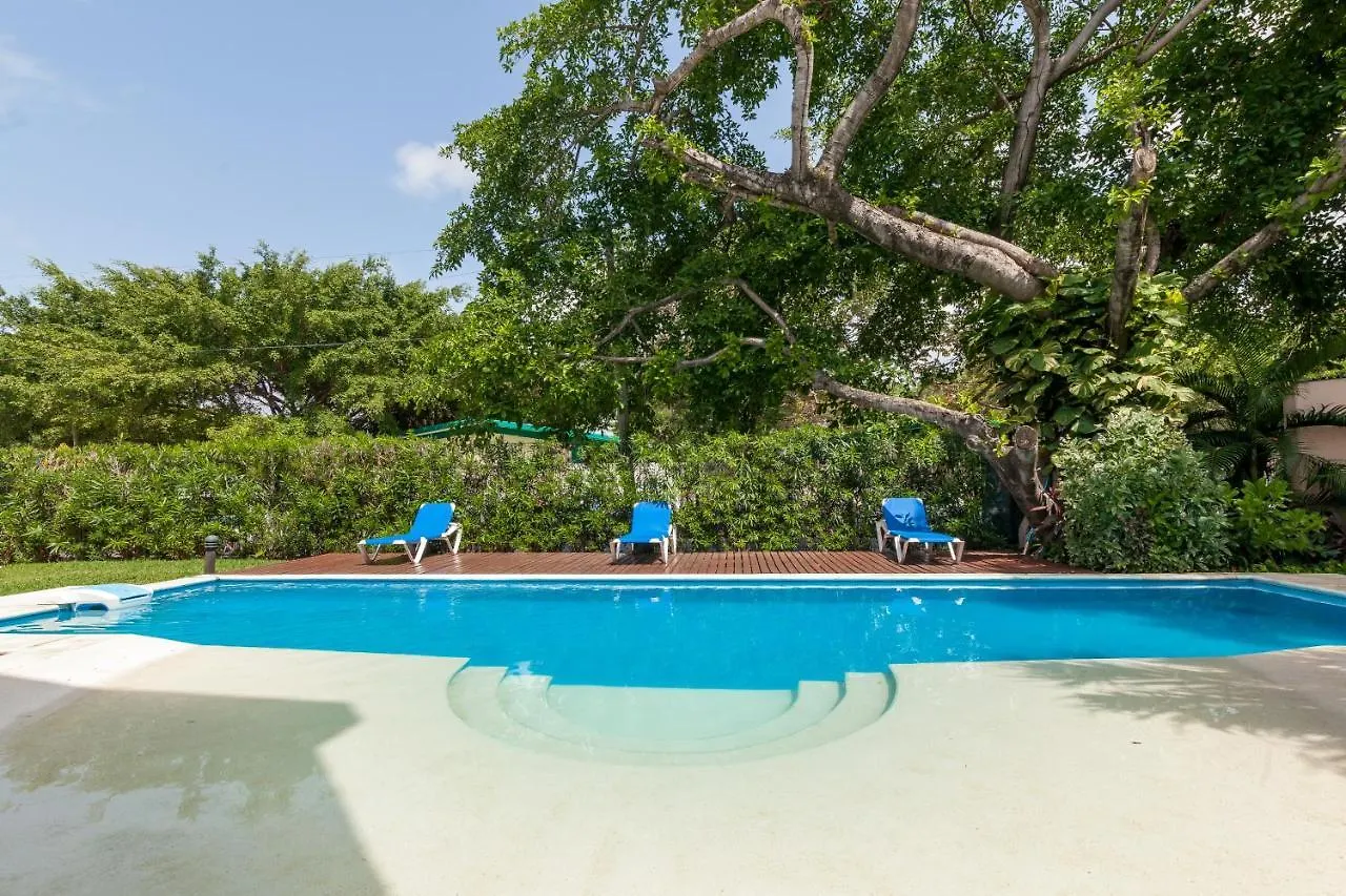 Deluxe Apartment Centro Playa Playa del Carmen